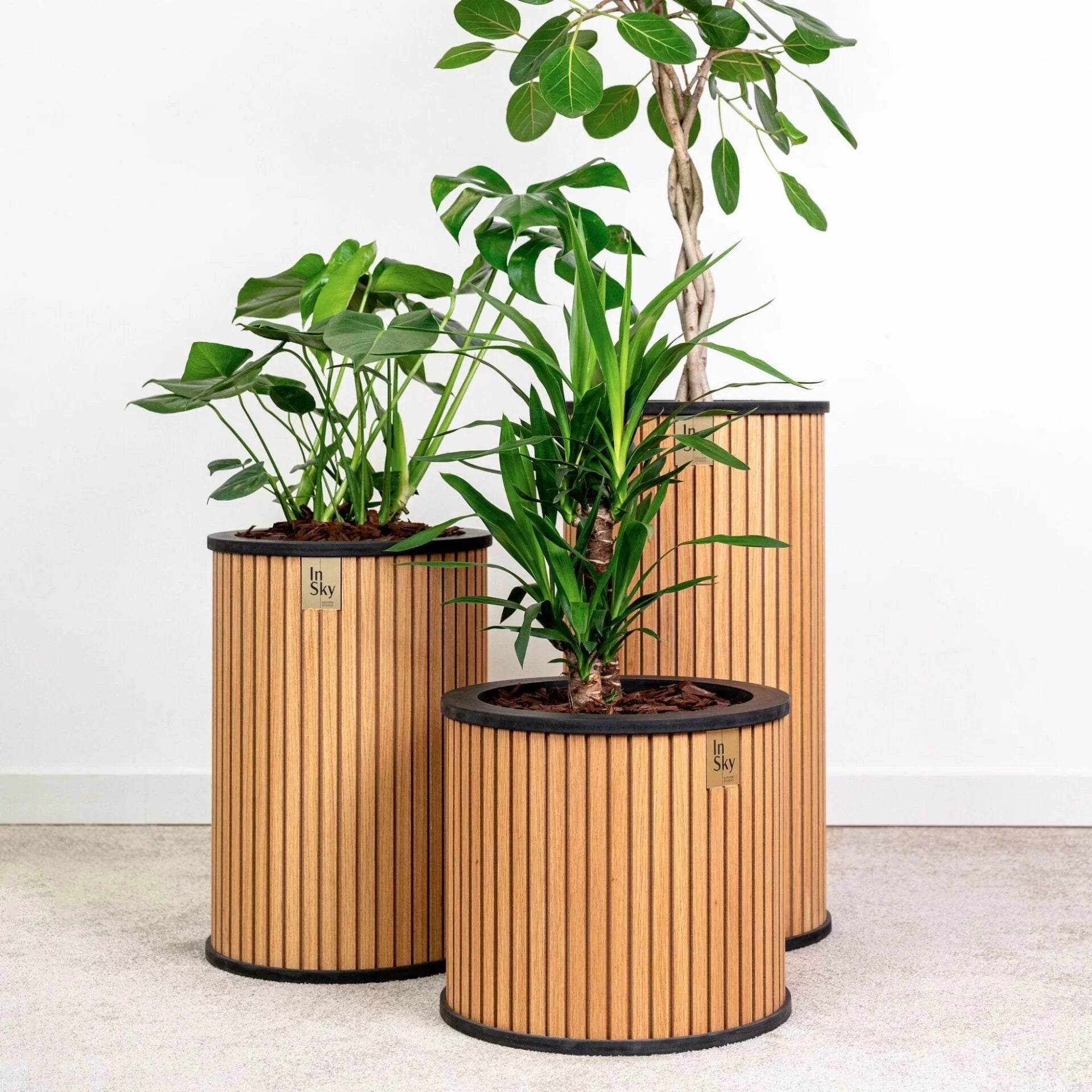 „HARMONY” mini – medinis vidaus vazonas