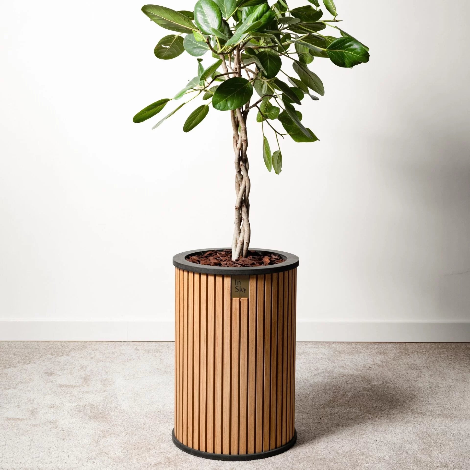 „HARMONY” midi – medinis vidaus vazonas