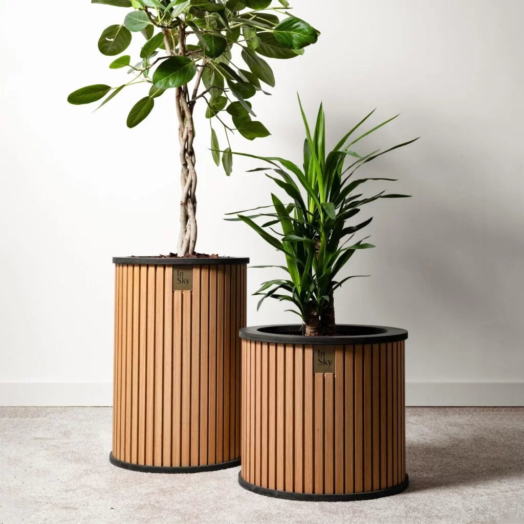 „HARMONY” midi – medinis vidaus vazonas