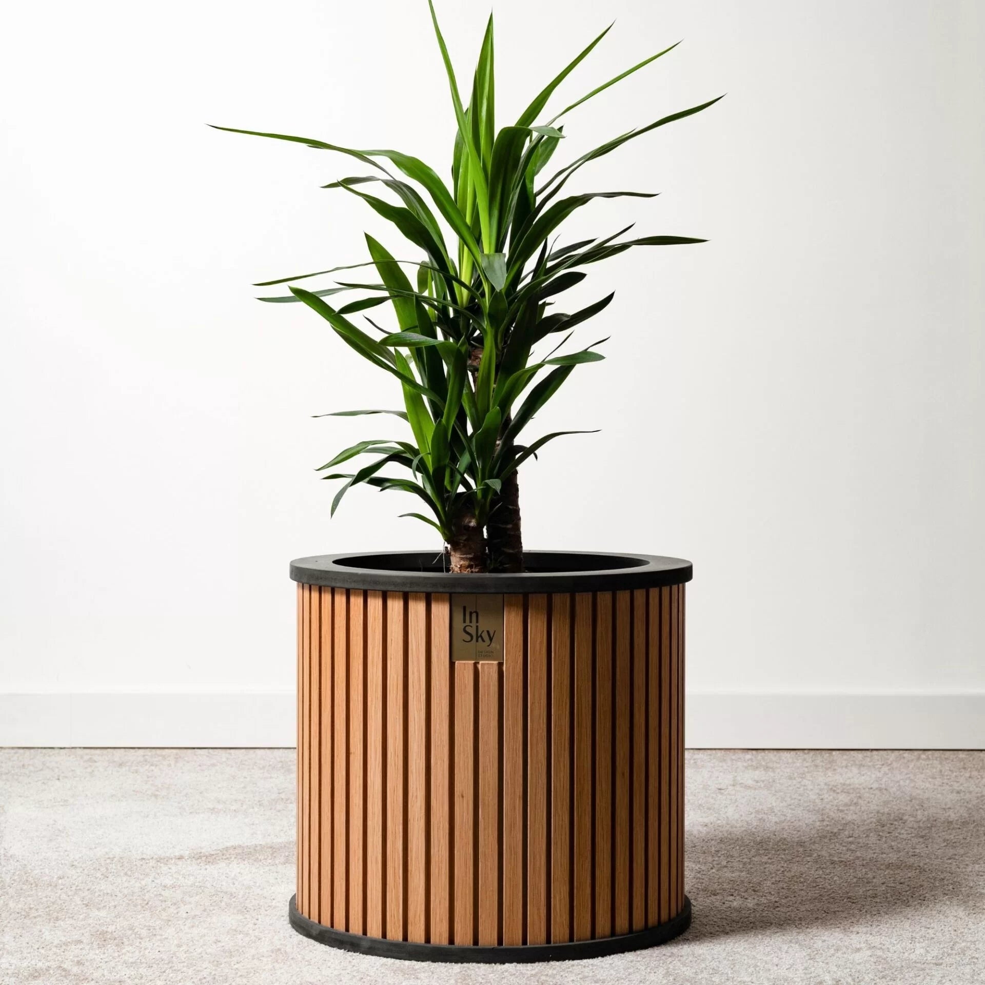 „HARMONY” mini – medinis vidaus vazonas