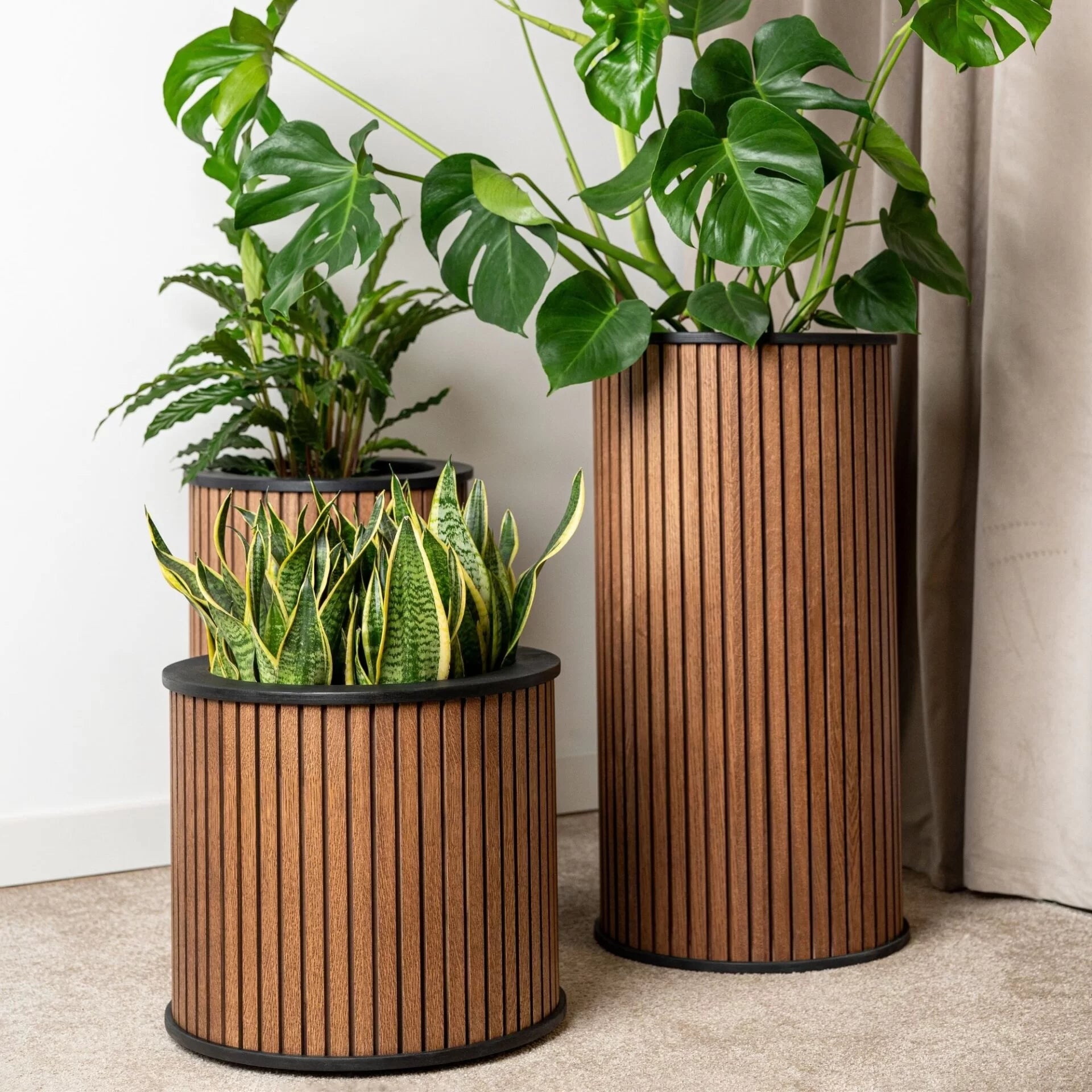 „HARMONY” maxi – medinis vidaus vazonas