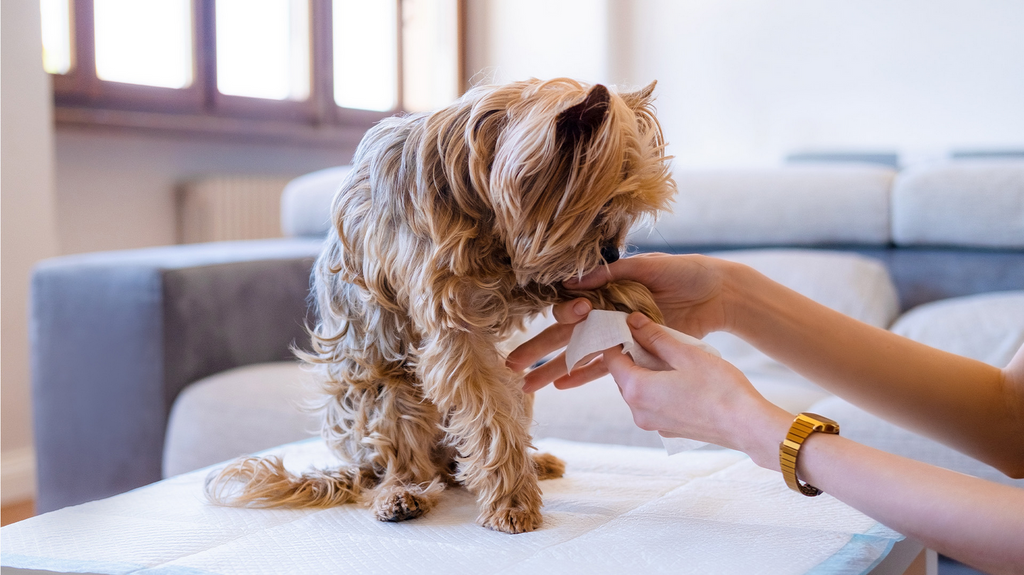 Drėgnos servetėlės naminiams gyvūnams