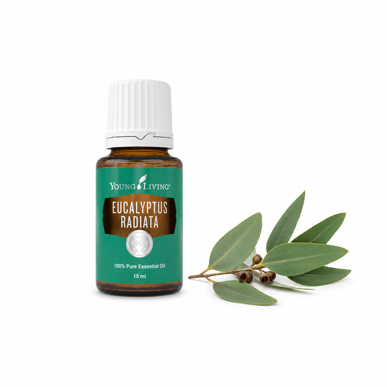 Eukaliptų eterinis aliejus (15 ml.)