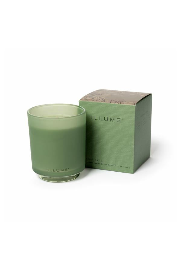 Kvapioji žvakė matinio stiklo inde "Hinoki sage"