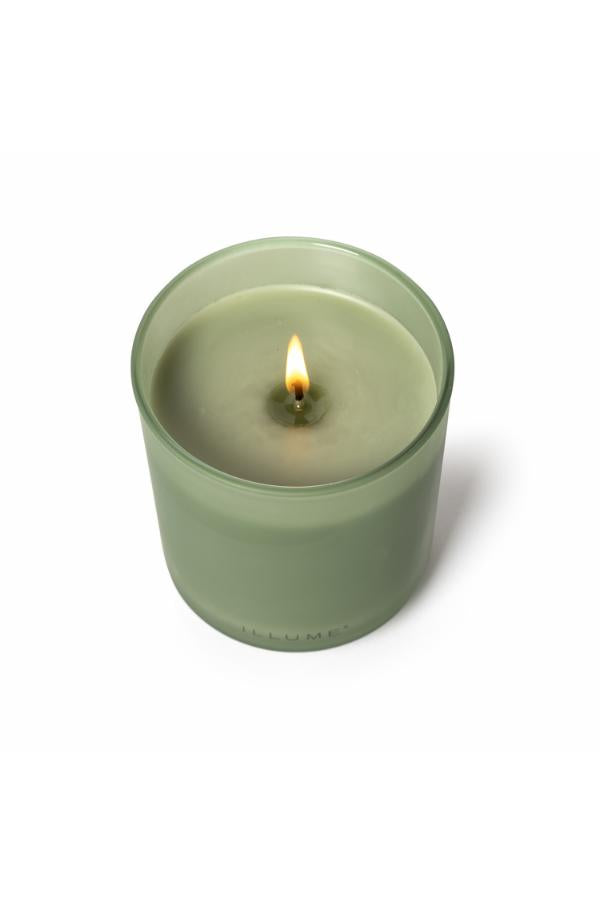 Kvapioji žvakė matinio stiklo inde "Hinoki sage"
