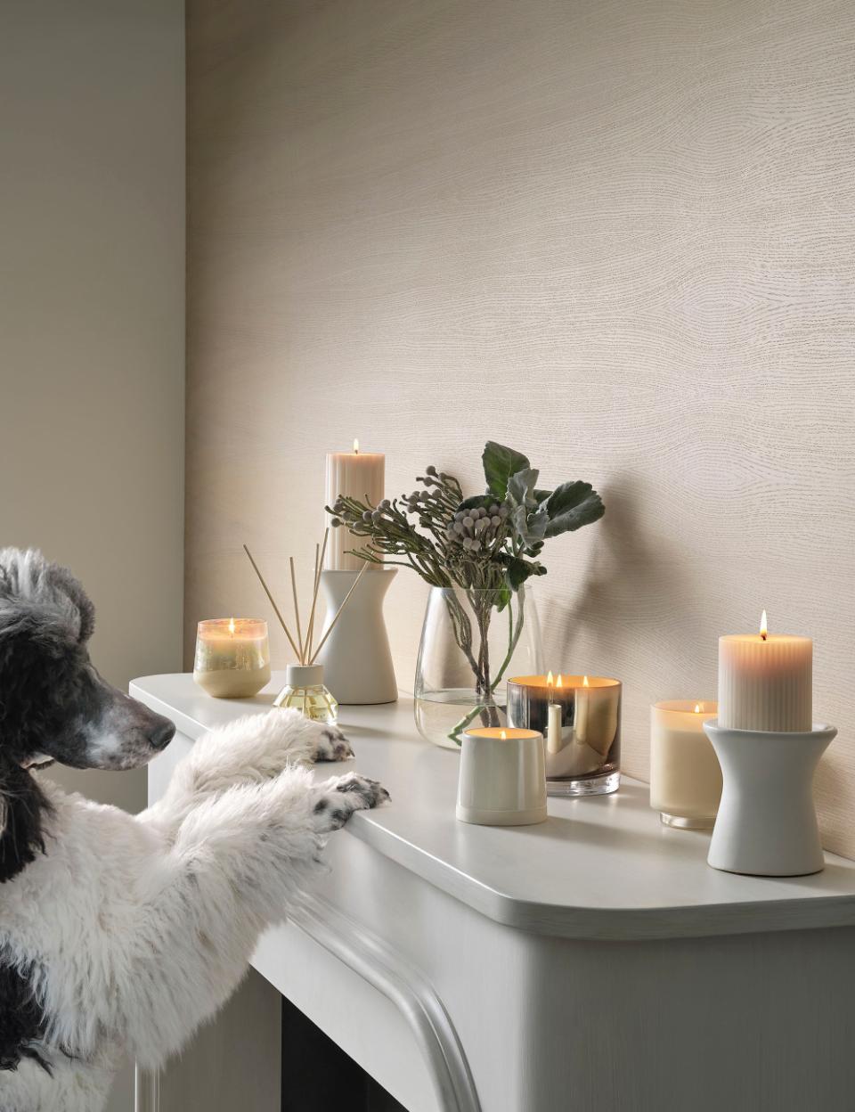 Išskirtinė stiklinė žvakė "Winter White", balta